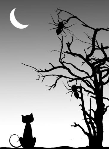 5x7  black and white sillouettte halloween