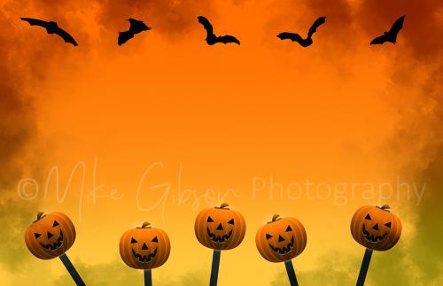 A row of five pumpkins 1