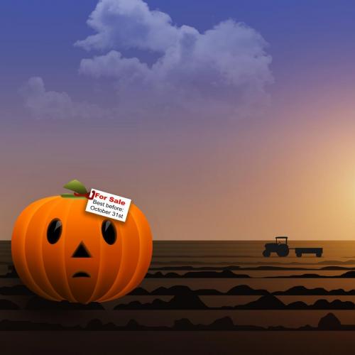 A sad pumpkin sits alone in a field with a For Sale label and the words- Best before Oct 31st