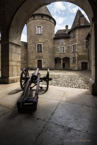 Chateau de Virieu inner courtyard with canon