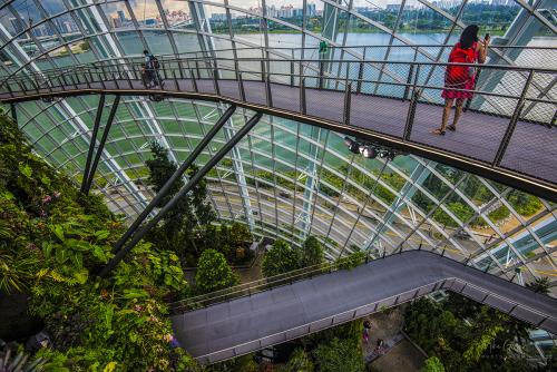 Cloud-Forest-Dome-Gardens-by-the-Bay-Singapore-12x8