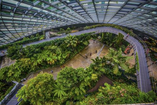 Cloud-Forest-Dome-Gardens-by-the-Bay-Singapore-2-12x8