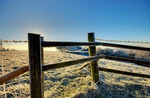 Fiels-with-posts-in-frost-HDR