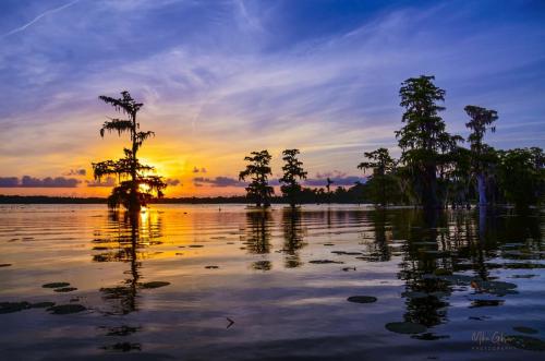 Lake-Martin-Louisiana-sunset-12x18