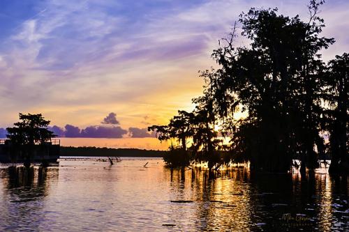 Lake-Martin-Louisiana-sunset-2-12x18