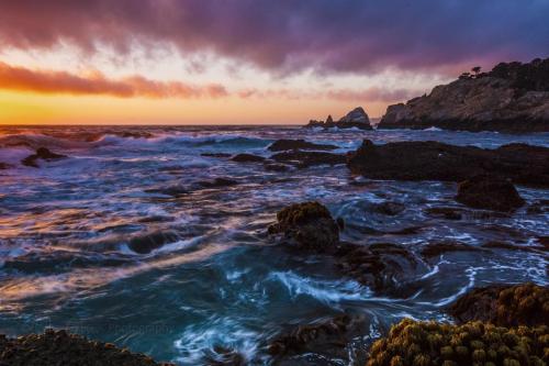 Point Lobos sunset