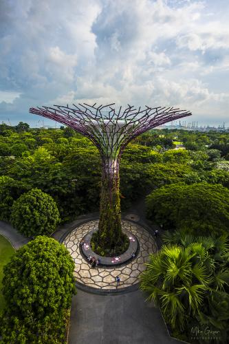 The-Gardens-on-the-Bay-Singapore-2-12x8